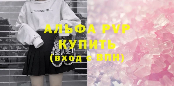 прущие грибы Ладушкин
