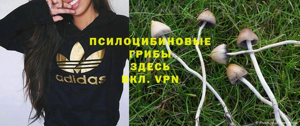 мяу мяу мука Лабытнанги