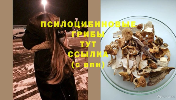 прущие грибы Ладушкин